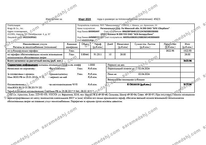 Belarus Minsk energo business utility bill template in Word and PDF format, fully editable